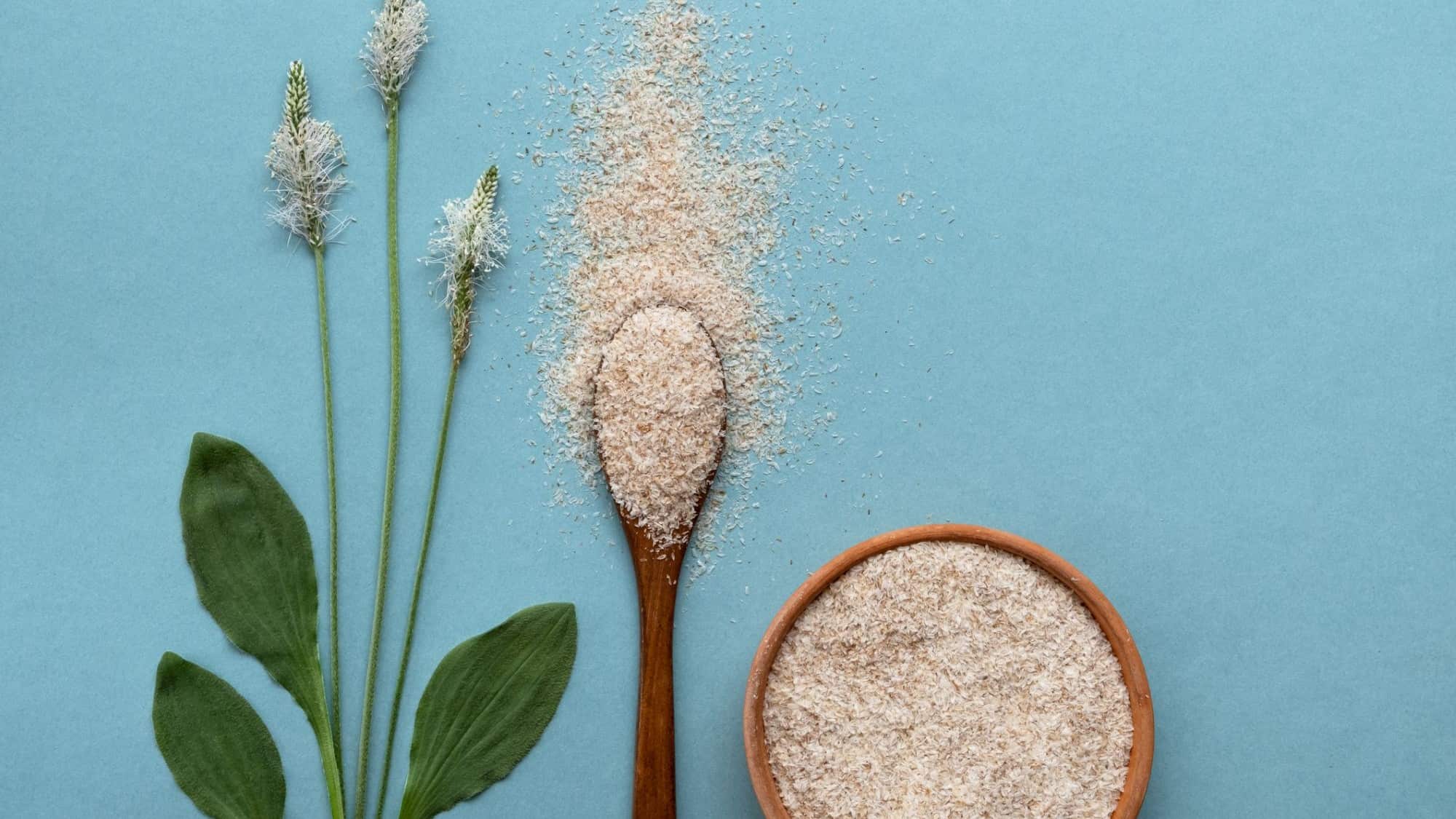 Flohsamen-Flohsamenschalen-6-Gr-nde-warum-sie-so-gesund-sind