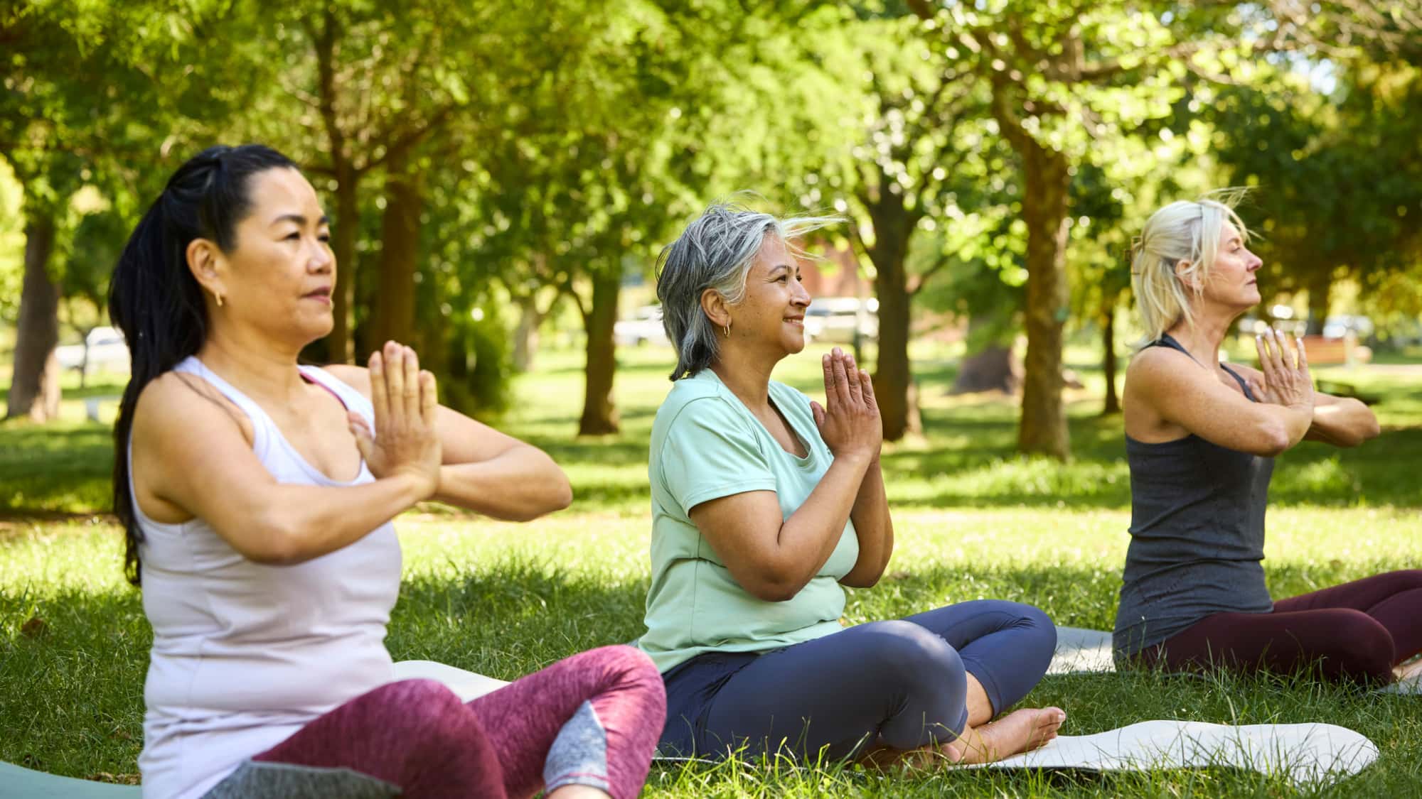 Menopause-meistern-Bewegung-Yoga-Ern-hrung-Hormone-Langlebigkeit-Was-Frauen-ber-strogen-Bewegung-Ern-hrung-wissen-sollten