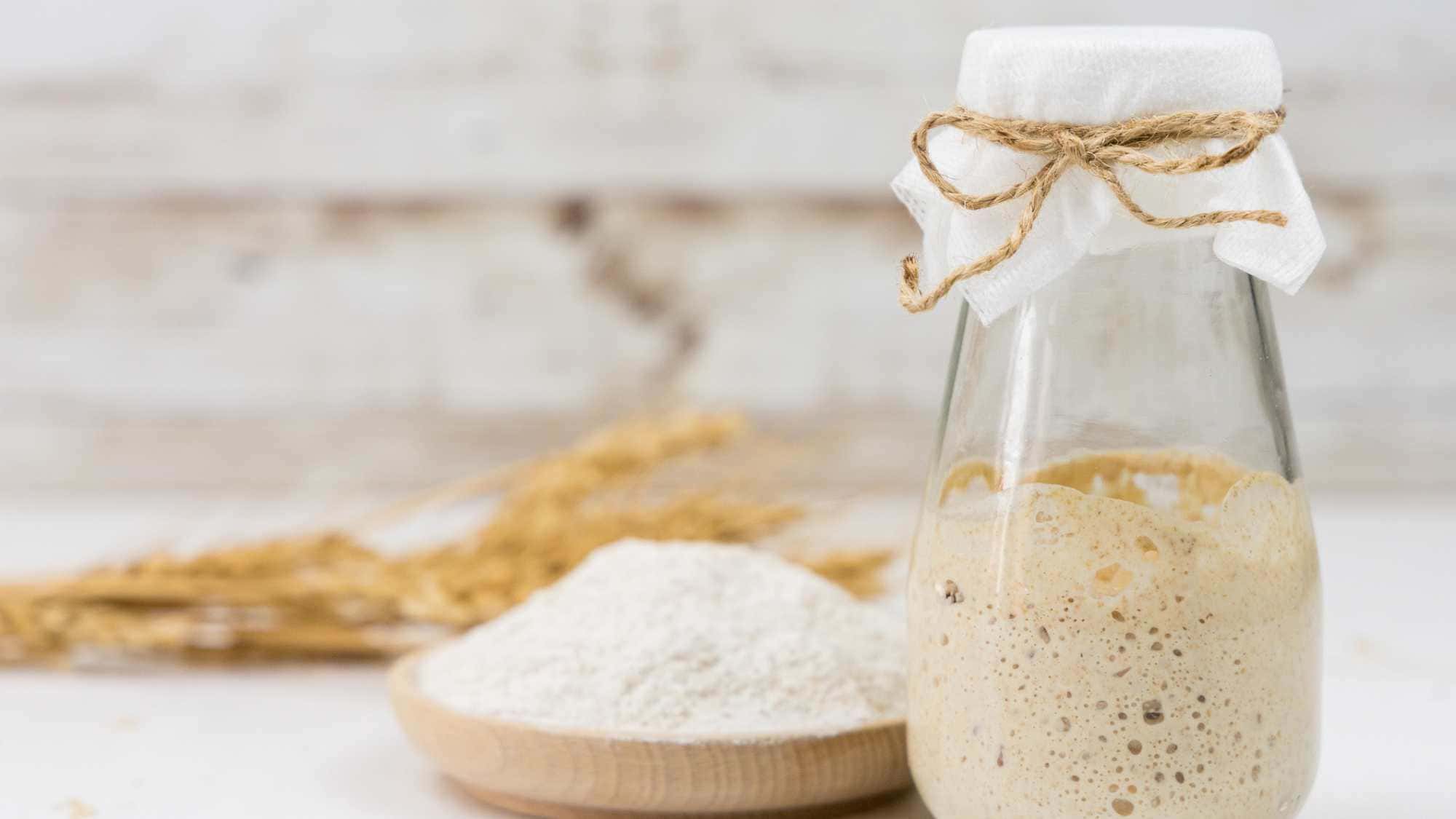 Sauerteig-als-Darmliebling-Sauerteig-und-Darm-Warum-fermentiertes-Brot-bek-mmlicher-ist