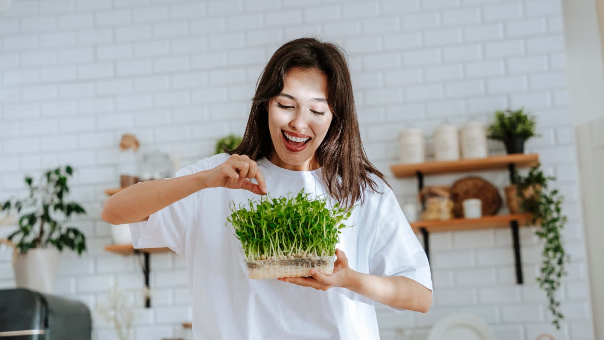 Hautalterung-verstehen-Microgreens-und-Hautalterung-Was-steckt-hinter-dem-Anti-Aging-Hype