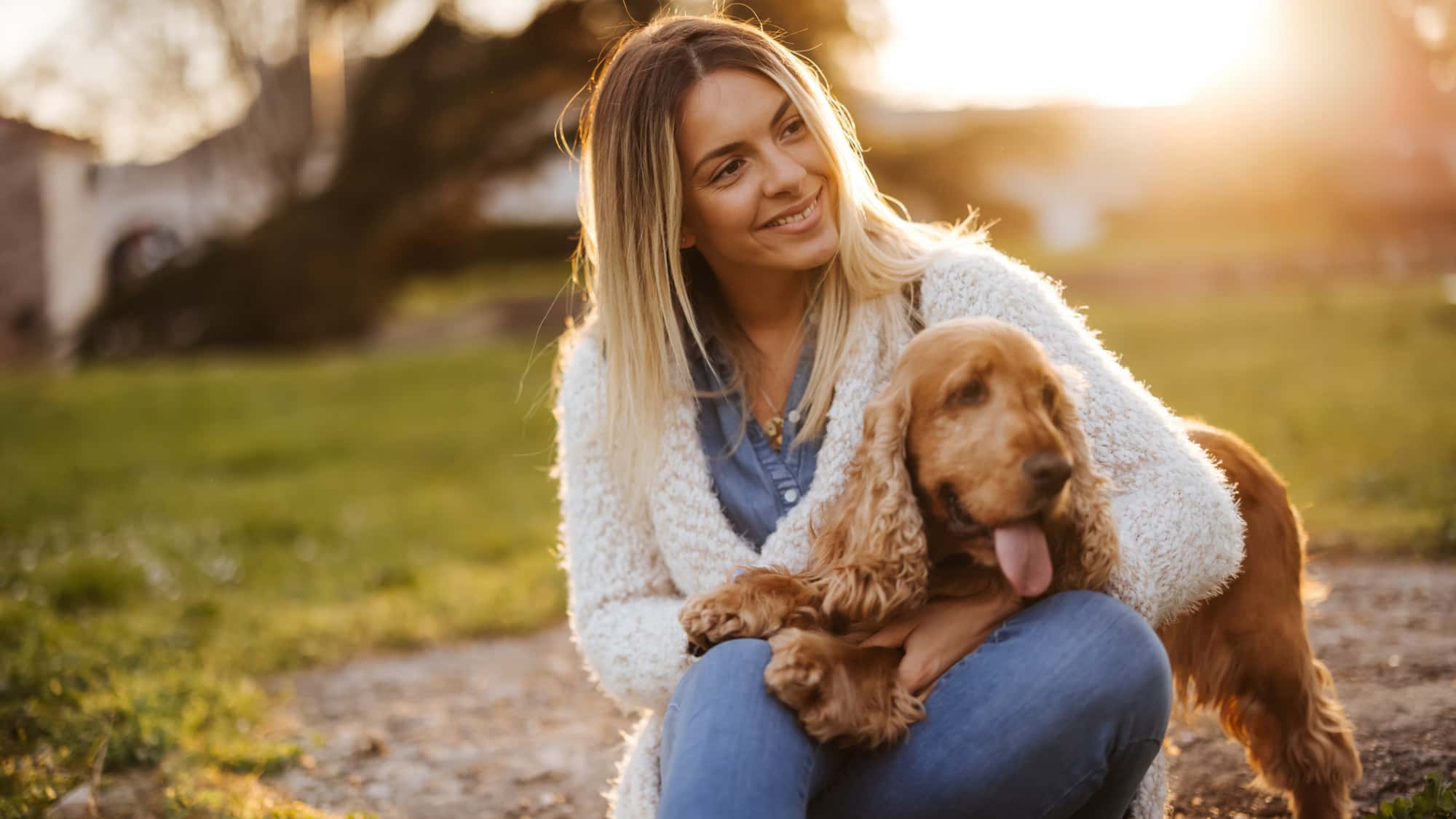 Entspannte-Hundebegegnungen-Dein-Hundespaziergang-stresst-dich-Dieses-Buch-hilft-dir-deinen-Hund-besser-zu-verstehen
