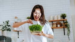 Anti-Aging: Microgreens gegen vorzeitige Hautalterung 