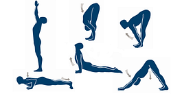 Lernen Sie in 7 Schritten den Sonnengruß Lernen Sie in 7 Schritten den Sonnengruß