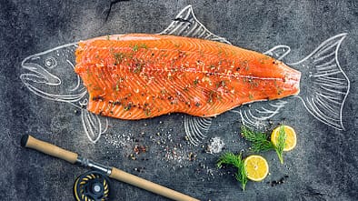 Unsere besten Lachs-Rezepte