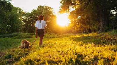 Minimaleinsatz: Wie wenig Sport reicht wirklich 