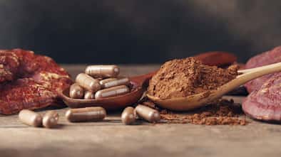 Vital- und Heilpilz: der Reishi als Kapsel oder Pulver