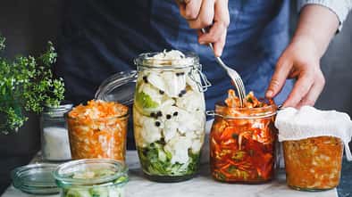 Fermentieren ist Trend!