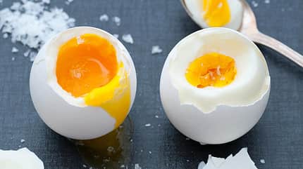 Eier sind gesunde Fettlieferanten Eier sind gesunde Fettlieferanten