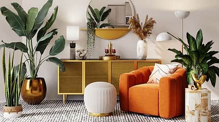 Grünpflanzen, Zimmerpflanzen, Interior, Wohnzimmer, Flora Wohnzimmer mit Grünpflanzen