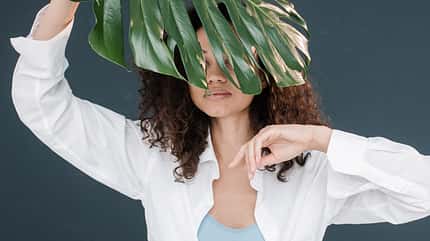 Monstera, Grünpflanze, Zimmerpflanze, Flora, Blatt Frau mit Monstera-Blatt