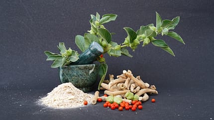Ashwagandha Ashwagandha