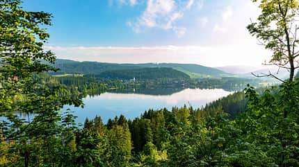 atmospheric,baden-wuerttemberg,baden-wurttemberg,break of dawn,deserted,german federal republic,lake titisee,lakes,middle europe,mood,morning atmosphere,morning light,no one,nobody,schwarzwald,south germany,southern germany,sueddeutschland,uninhabited Lake in the morning light, Titisee, Titisee-Neustadt, Black Forest, Baden-Wuerttemberg, Germany
