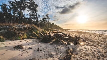 cloud,coast,evening,landscape,light,recreation Germany, Mecklenburg-Western Pomerania, Darss, Ahrenshoop, West beach at sunset