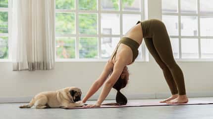 Die Yoga Trends 2025 Die Yoga Trends 2025