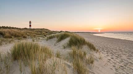 Die 5 besten Fastenhotels in Deutschland Die 5 besten Fastenhotels in Deutschland