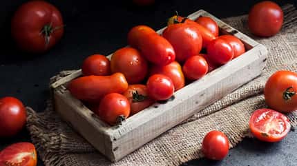 Kiste mit frischen Tomaten Kiste mit frischen Tomaten