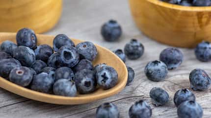 antioxidatien lebensmittel antioxidatien lebensmittel