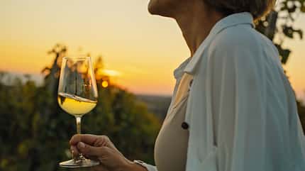 Serene Sunset Moments in the Vineyard