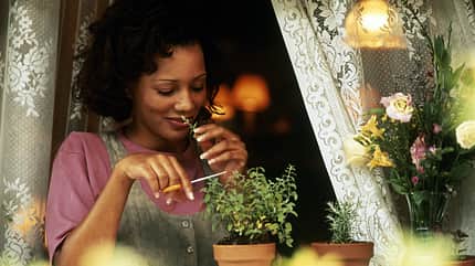 Die besten Kräuter für den Stoffwechsel 