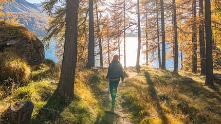 Regeneration: Warum Pausen dich stärker machen 