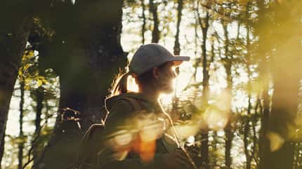 Eine Frau spaziert im Sonnenuntergang durch den Wald Eine Frau spaziert im Sonnenuntergang durch den Wald