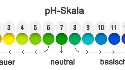 Die pH-Skala Die pH-Skala