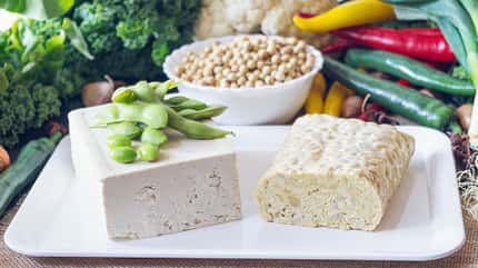 Soja und Tempeh - was ist leckerer? Soja und Tempeh - was ist leckerer?