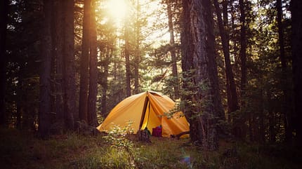 forest,tent,freedom,lifestyle,nature,park,travel,meadow,sunbeams,activity,adventure,beam,beautiful,camp,campsite,environment,green,hiking,journey,landscape,leisure,light,summer,sun,sunlight,sunrise,tourism,tree,vacation,view,wild,wildlife,wood,background,dawn,equipment,evening,grass,morning,outdoor,pine,sky,sunshine,trekking,trip,countryside,explore,firtree,yellow,orange View of tent on meadow in forest at sunrise.