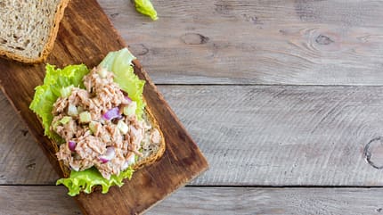 Thunfisch aus der Dose ist auch ein leckerer Brotaufstrich