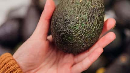 Avocado We love Avocado! Im Salat, auf Brot, aus dem Ofen, ...