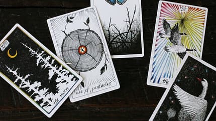 Tarot, Kartendeck, Mystik The Wild Unknown Tarot