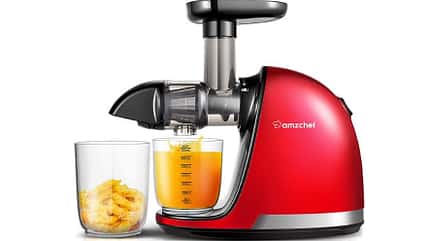Mit einem Slow Juicer bereitest du dir deinen eigenen frischen Saft zu Mit einem Slow Juicer bereitest du dir deinen eigenen frischen Saft zu