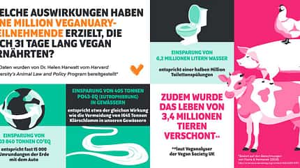 Der Veganuary hat tolle Auswirkungen auf die Umwelt und das Tierwohl Der Veganuary hat tolle Auswirkungen auf die Umwelt und das Tierwohl