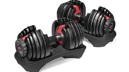 Bowflex Selecttech 552 Kurzhantel Bowflex Selecttech 552 Kurzhantel