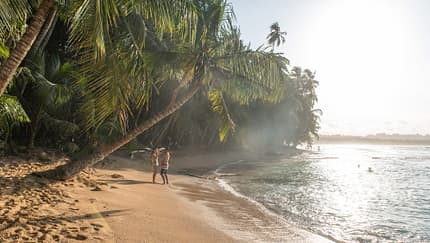 Costa Rica will das erste klimaneutrale Land der Welt werden