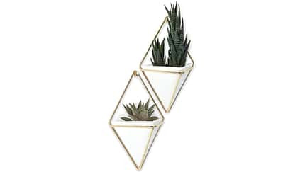 Wandvase
