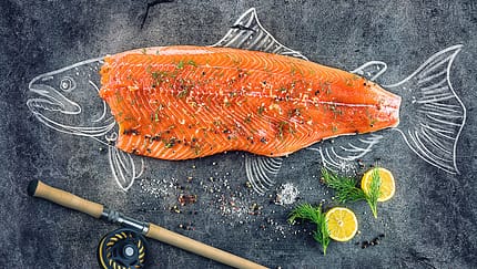 Unsere besten Lachs-Rezepte