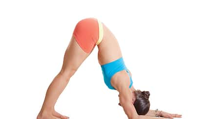 Den Körper entgiften beim Yoga: Delfin Den Körper entgiften beim Yoga: Delfin