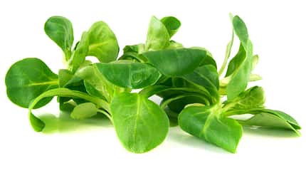 In Feldsalat steckt viel Vitamin A