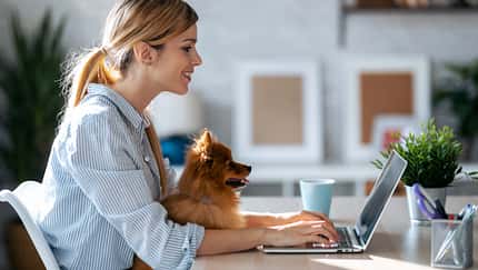 Ja, ein Hund sorgt für Bewegung im Homeoffice, um Rückenschmerzen vorzubeugen braucht es aber auch clevere Arbeits- und Mobilitäts-Tools