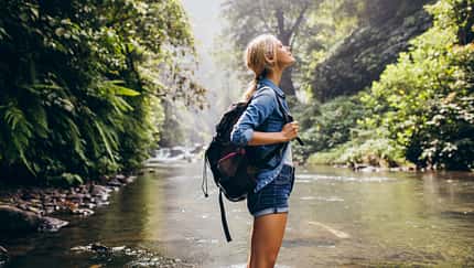 Die japanische Waldmedizin Shinrin Yoku sagt: Aufenthalte im Wald sind gesund.