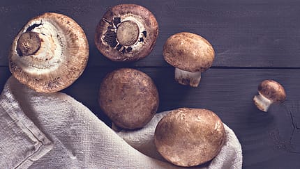 Lebensmittel mit viel Vitamin D