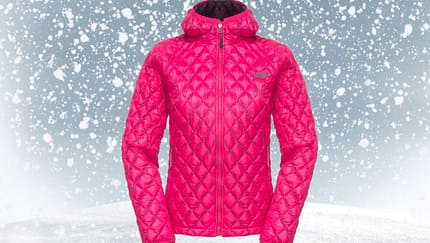 Skijacke von The North Face, zirka 200 Euro