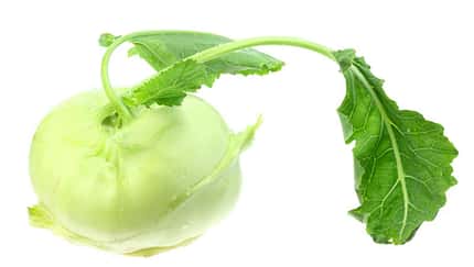 Gemüse mit viel Vitamin C 