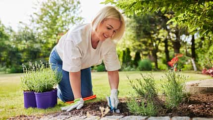 Gartenarbeit
