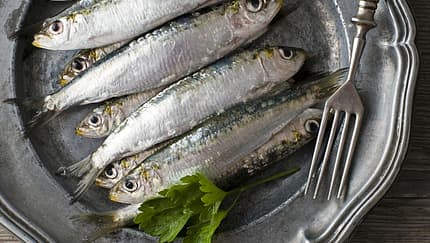 Tierische Lebensmittel mit Vitamin B6