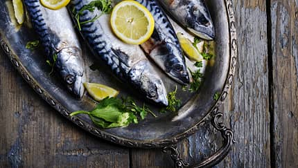 Makrelen liefern Vitamin B6