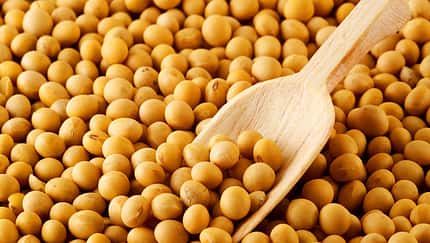 Pflanzliche Lebensmittel mit Vitamin B6