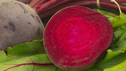 Eine Portion Rote Bete (125 Gramm) enthält 116 Mikrogramm Folsäure