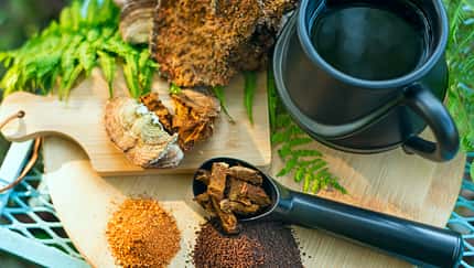 Chaga mushroom. Mushroom coffee chaga superfood. Dried mushrooms and and a cup of coffee. Healthy organic energizing adaptogen, endurance boosting food trends.
